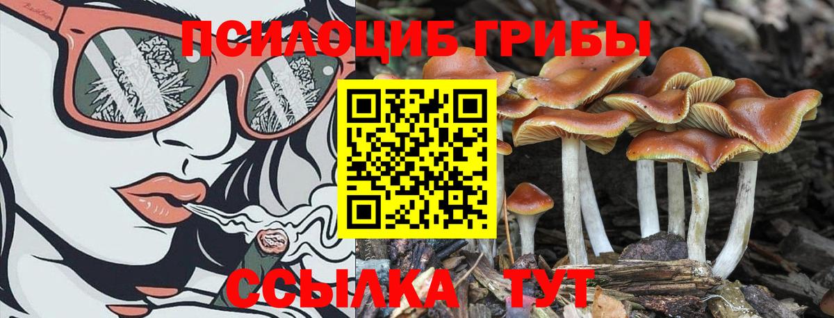 ГАШ Таганрог