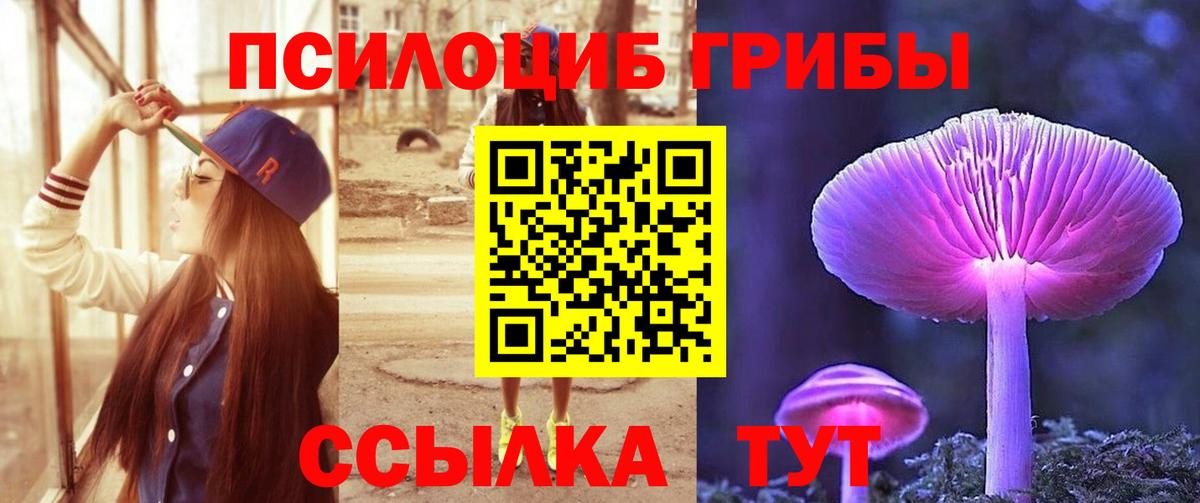 Таганрог  Галлюциногенные грибы Psilocybine cubensis  Вход с VPN 